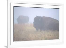 Theodore Roosevelt National Park-Gordon Semmens-Framed Photographic Print