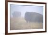 Theodore Roosevelt National Park-Gordon Semmens-Framed Photographic Print