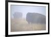 Theodore Roosevelt National Park-Gordon Semmens-Framed Photographic Print