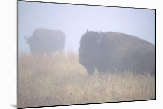 Theodore Roosevelt National Park-Gordon Semmens-Mounted Photographic Print