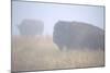 Theodore Roosevelt National Park-Gordon Semmens-Mounted Photographic Print