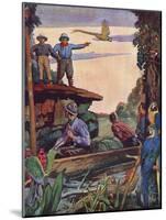 Theodore Roosevelt on the Roosevelt River in Brazil-null-Mounted Art Print