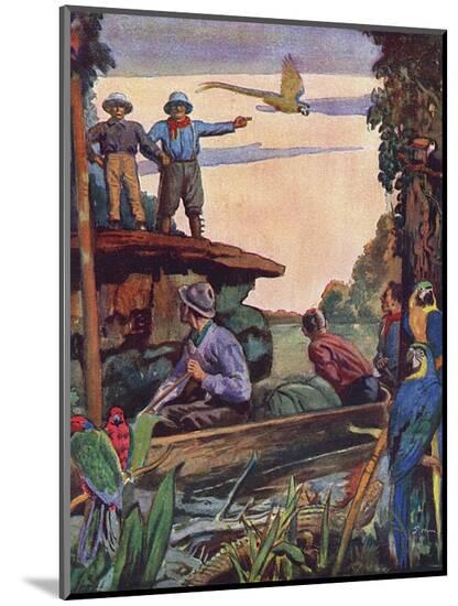 Art Print, , large