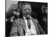 Theodore Roosevelt, Photo by Charles Duprez 1912-null-Stretched Canvas