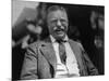 Theodore Roosevelt, Photo by Charles Duprez 1912-null-Mounted Art Print