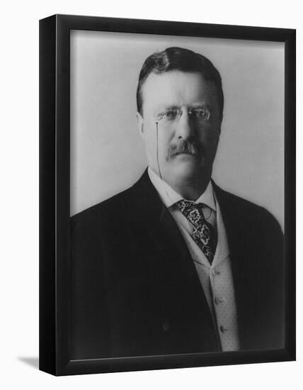 Theodore Roosevelt (Portriat)  Archival Photo Poster Print-null-Framed Poster