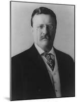 Theodore Roosevelt (Portriat)  Archival Photo Poster Print-null-Mounted Poster