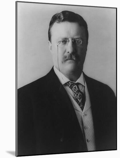Theodore Roosevelt (Portriat)  Archival Photo Poster Print-null-Mounted Poster