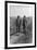 Theodore Roosevelt with John Muir-null-Framed Photo