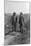 Theodore Roosevelt with John Muir-null-Mounted Photo