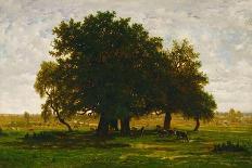 A group of oaktrees, Apremont, France. 1855 Canvas, 63,5 x 99,5 cm R. F. 1447.-Theodore Rousseau-Giclee Print
