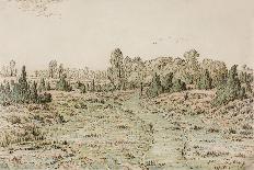 The Edge of the Woods at Monts-Girard, Fontainebleau Forest, 1852-54-Theodore Rousseau-Giclee Print