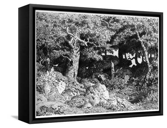 Stretched Canvas Print, , large