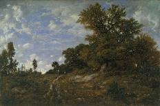 Footpath in the Barbizonnières, 1864-Theodore Rousseau-Giclee Print