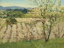 Prune Orchard, Los Gatos, California-Theodore Wores-Mounted Giclee Print