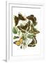 Gramercy White