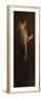 Chelsea Natural