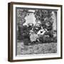 Theophile Gautier, French Poet, Dramatist, Novelist, Journalist, and Literary Critic, C1857-null-Framed Giclee Print