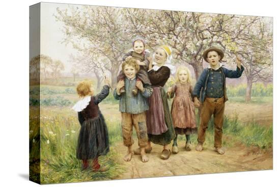 Stretched Canvas Print, , large