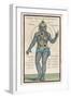 Theosophy Chakras 1696-null-Framed Photographic Print