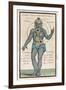 Theosophy Chakras 1696-null-Framed Photographic Print