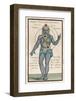 Theosophy Chakras 1696-null-Framed Photographic Print