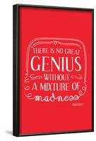 There Is No Great Genius Without A Mixture Of Madness-null-Framed Poster