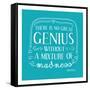 There Is No Great Genius Without A Mixture Of Madness-null-Framed Stretched Canvas