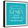 There Is No Great Genius Without A Mixture Of Madness-null-Framed Stretched Canvas