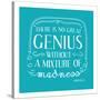 There Is No Great Genius Without A Mixture Of Madness-null-Stretched Canvas