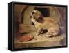 There's No Place Like Home-Edwin Henry Landseer-Framed Stretched Canvas