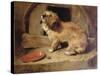 There's No Place Like Home-Edwin Henry Landseer-Stretched Canvas