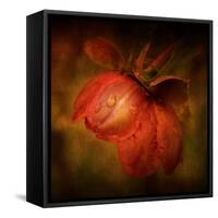 There She Goes-Philippe Sainte-Laudy-Framed Stretched Canvas