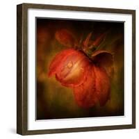 There She Goes-Philippe Sainte-Laudy-Framed Photographic Print