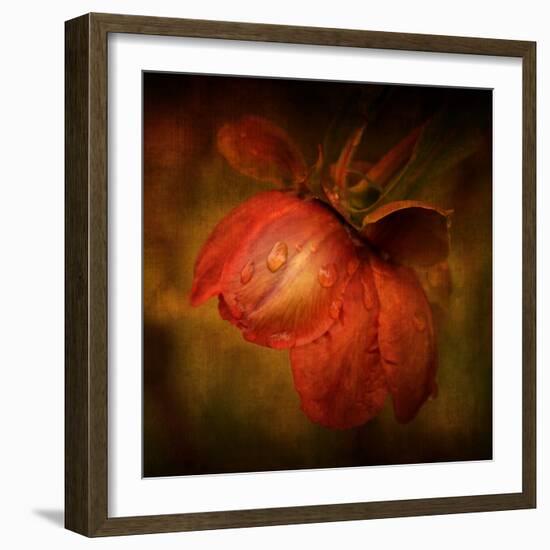 There She Goes-Philippe Sainte-Laudy-Framed Photographic Print