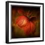 There She Goes-Philippe Sainte-Laudy-Framed Photographic Print