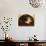 There Sleeps Titania-Robert Huskisson-Giclee Print displayed on a wall