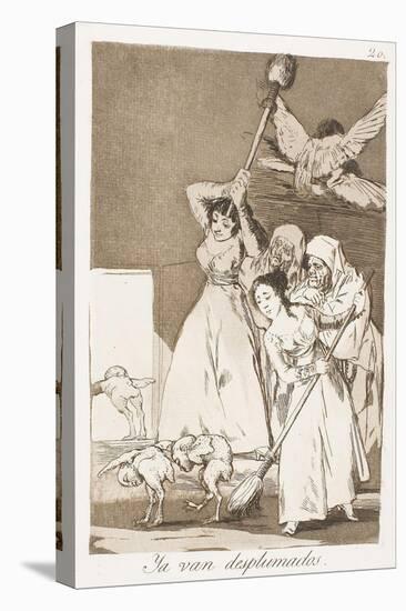 There They Go Plucked (i.e. fleeced), plate 20 from Los Caprichos. Francisco José de Goya y Luci...-Francisco de Goya y Lucientes-Stretched Canvas