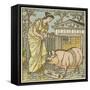 There Was a Lady Loved a Swine-Walter Crane-Framed Stretched Canvas