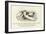 There Was a Young Lady in White, Who Looked Out at the Depths of the Night-Edward Lear-Framed Giclee Print