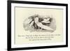 There Was a Young Lady in White, Who Looked Out at the Depths of the Night-Edward Lear-Framed Giclee Print