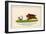 There was a Young Lady of Clare Who was Madly Pursued by a Bear-Edward Lear-Framed Art Print