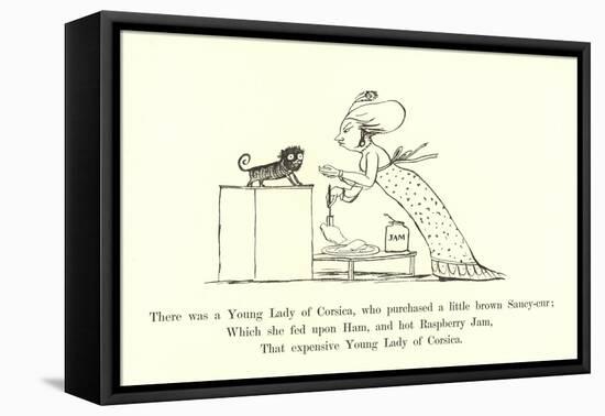 There Was a Young Lady of Corsica, Who Purchased a Little Brown Saucy-Cur-Edward Lear-Framed Stretched Canvas