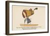 There Was a Young Lady of Dorking, Who Bought a Large Bonnet for Walking-Edward Lear-Framed Giclee Print