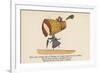 There Was a Young Lady of Dorking, Who Bought a Large Bonnet for Walking-Edward Lear-Framed Giclee Print