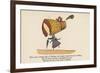 There Was a Young Lady of Dorking, Who Bought a Large Bonnet for Walking-Edward Lear-Framed Giclee Print