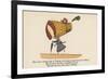 There Was a Young Lady of Dorking, Who Bought a Large Bonnet for Walking-Edward Lear-Framed Giclee Print