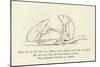 There Was an Old Man in a Marsh, Whose Manners Were Futile and Harsh-Edward Lear-Mounted Premium Giclee Print