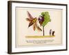 There was an Old Man in a Tree Who was Horribly Bored by a Bee-Edward Lear-Framed Art Print