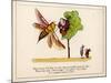 There was an Old Man in a Tree Who was Horribly Bored by a Bee-Edward Lear-Mounted Art Print